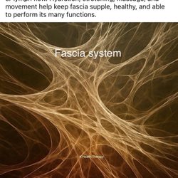 Integrated Wellness and Physical Therapy - One reason why manual therapy techniques work.