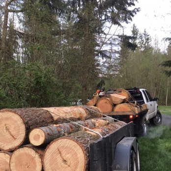 R & A Tree Service - Tree Services Near Me