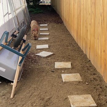Carmelo's Crew Landscaping - Side yard of fence Carmelo installed - Landscaping Near Me