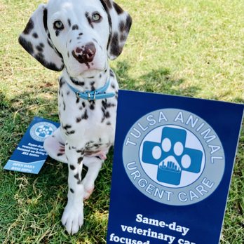 Tulsa Animal Urgent Care - Veterinarians Near Me - Tulsa, Oklahoma Tulsa Animal Urgent Care - Veterinarians Near Me - Tulsa, Oklahoma