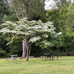 Picnic area