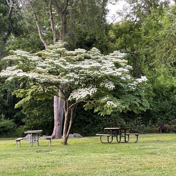 Terrapin Nature Park - Picnic area - Parks Near Me - Stevensville, Maryland