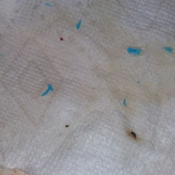 Madina Industrial Corp - I melted the shea butter and this is what I found. - Cosmetics & Beauty Supply Near Me - Brooklyn, New York Madina Industrial Corp - I melted the shea butter and this is what I found. - Cosmetics & Beauty Supply Near Me - Brooklyn, New York