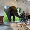 Myrtle Beach Safari gift card