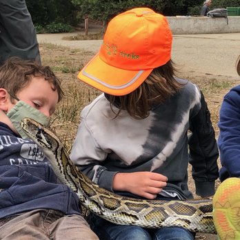 Tree Frog Treks - Community Service/Non-Profit Near Me - San Francisco, California Tree Frog Treks - Community Service/Non-Profit Near Me - San Francisco, California