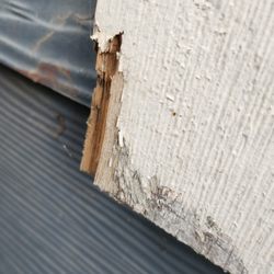 Seattle Pro Turf - Crew drove machines with no care.  Hit side of our house.