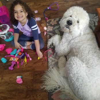 Paws Into Grace - Pet Hospice Near Me Paws Into Grace - Pet Hospice Near Me