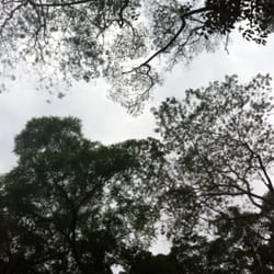 Cachoeira dos Primatas - Green sky