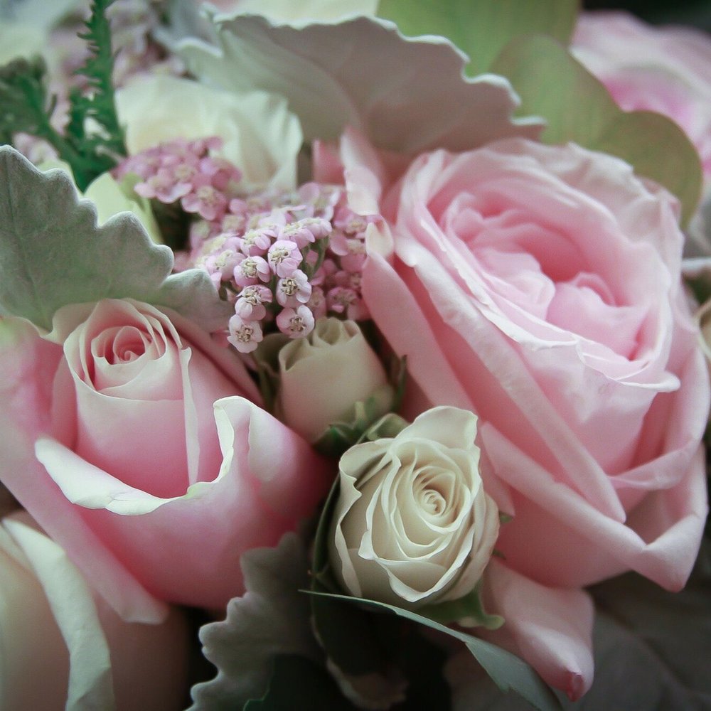Fluorescence Flowers - Florists Near Me - Denver, Colorado