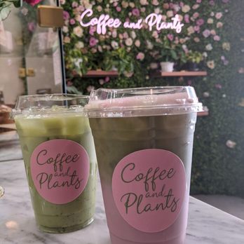 Coffee and Plants - Coffee & Tea Near Me - Pasadena, California