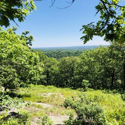 Turkey Mountain Preserve