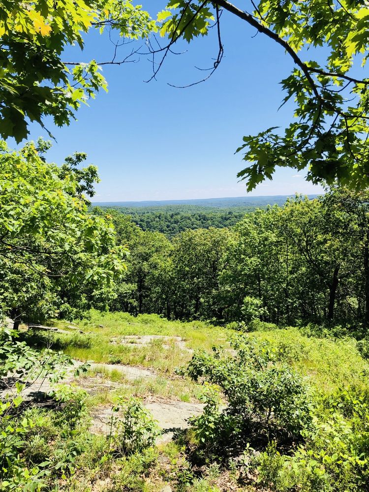 TURKEY MOUNTAIN PRESERVE Hiking New York 118, Yorktown Heights, NY