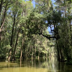 Mount Dora Lake Tours - Mount Dora Canal