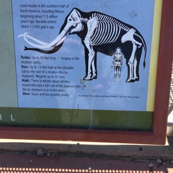Lupe the Columbian Mammoth - Public Art Near Me - San Jose, California Lupe the Columbian Mammoth - Public Art Near Me - San Jose, California