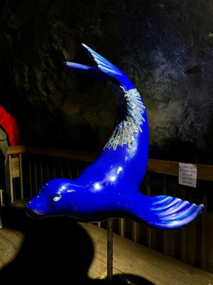 Sea Lion Caves by null