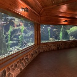 Cabela's - Aquarium
