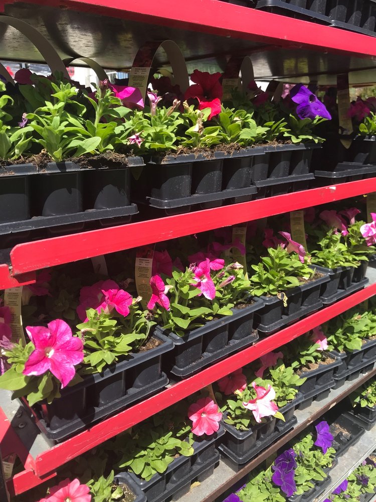 LOWE’S HOME IMPROVEMENT Updated September 2024 10 Reviews 300