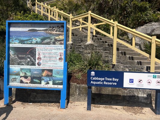 Shelly Beach by null