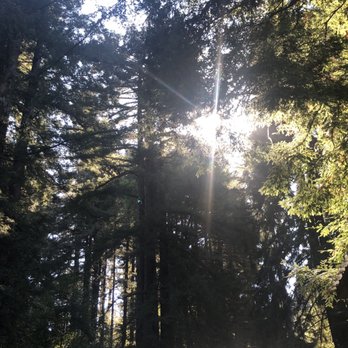 Fern River Resort - Set in the peaceful grove of big redwoods - Resorts Near Me - Felton, California Fern River Resort - Set in the peaceful grove of big redwoods - Resorts Near Me - Felton, California
