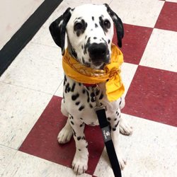 Crescent Hill Animal Hospital