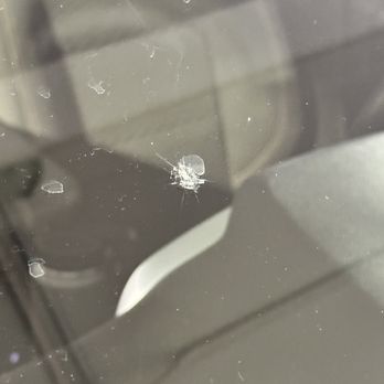 Avis Car - Stone Bruise Cracked on windshield - Car Rental Near Me - Calgary, Alberta