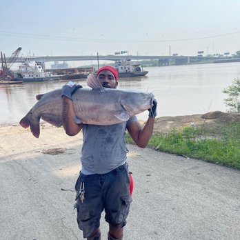 367 BAIT SHOP - Updated August 2025 - 11841 Benham Rd, Saint