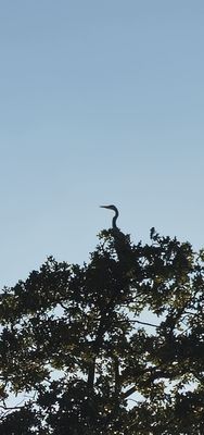 Lake Mineral Wells State Park by null