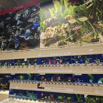 PetSmart - Fish - Pet Stores Near Me - Manchester, Missouri PetSmart - Fish - Pet Stores Near Me - Manchester, Missouri