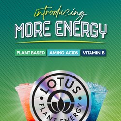 Brie'sta Coffee Company - Lotus Energy Drinks, only at Brie'sta!