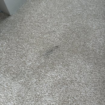Paint 4 You - Paint on carpet - Painters Near Me Paint 4 You - Paint on carpet - Painters Near Me