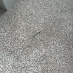 Paint 4 You - Paint on carpet