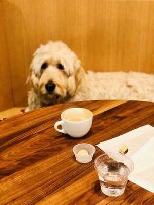 Lincoln South Food Hall by null