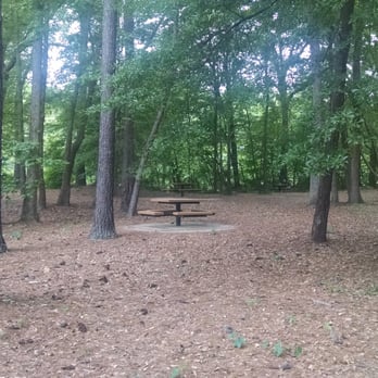Holcomb Bridge Park - Lots of shade for picnics. - Parks Near Me - Peachtree Corners, Georgia