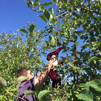 Jonamac Orchard - Fruits & Veggies Near Me - Malta, Illinois