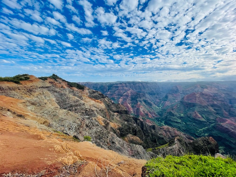 Waimea Canyon State Park Logo