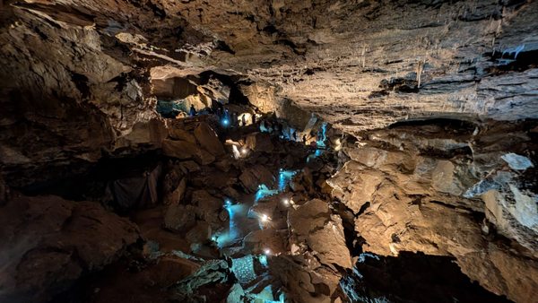 Oregon Caves National Monument & Preserve by null