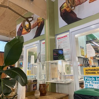 Cocoa Bean Juice and Salad Bar - decor and counter - Juice Bars & Smoothies Near Me - Brooklyn, New York Cocoa Bean Juice and Salad Bar - decor and counter - Juice Bars & Smoothies Near Me - Brooklyn, New York