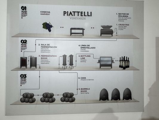 Piattelli Vineyards by null