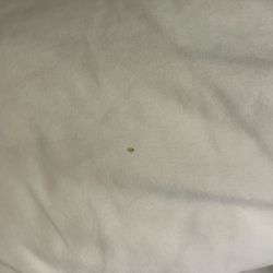 Econo Lodge - Bed bugs.
