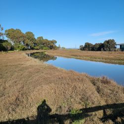 McInnis Park