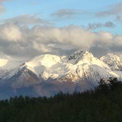 Moose Wallow Cabins