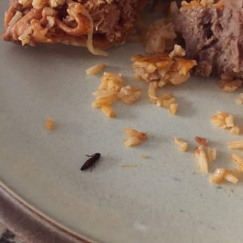 Polvos South - Bug in my enchiladas - Mexican Near Me - Austin, Texas