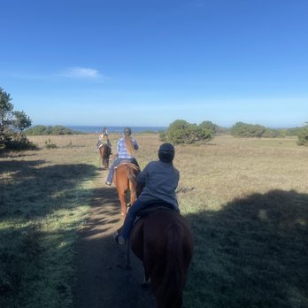 RICOCHET RIDGE RANCH - Updated January 2026 - 172 Photos & 182 Reviews ...