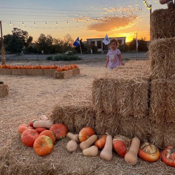 Pumpkin Palooza - Pumpkin Patches Near Me - Carlsbad, California Pumpkin Palooza - Pumpkin Patches Near Me - Carlsbad, California
