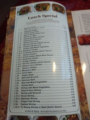 Menu photo 2 Great China Garden Garden City, MI