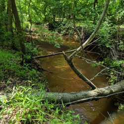 Pine Brook Park
