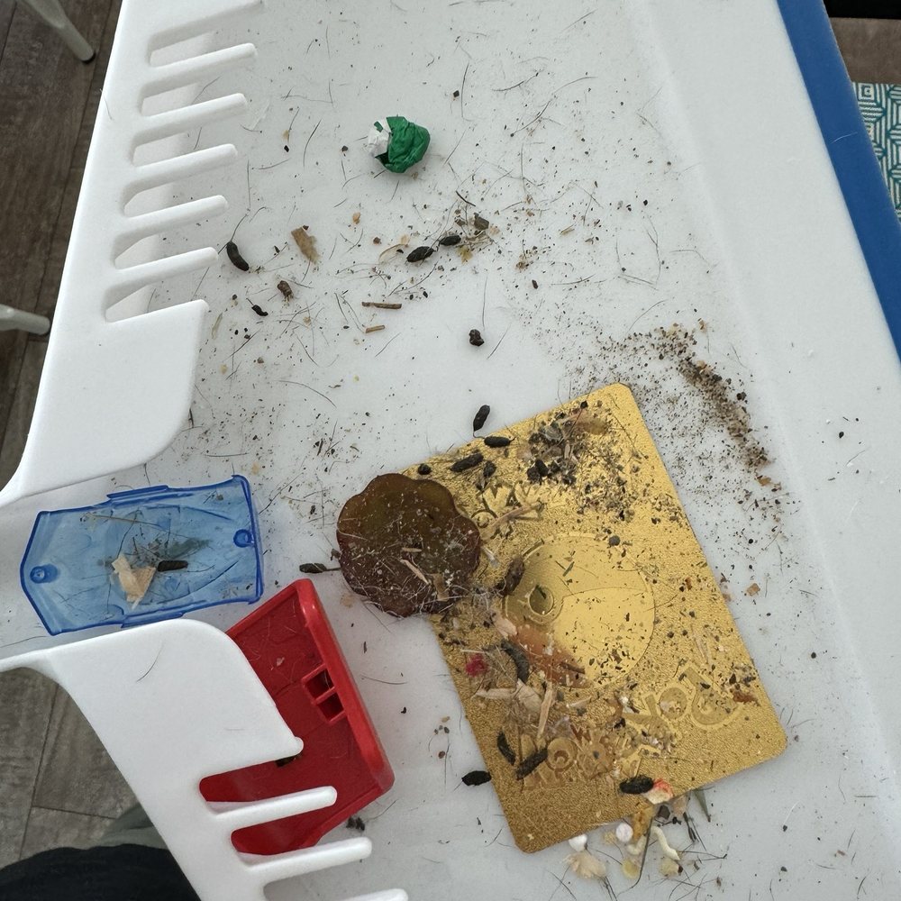 Terminix - More rat droppings AFTER service - Pest Control Near Me - Ventura, California Terminix - More rat droppings AFTER service - Pest Control Near Me - Ventura, California