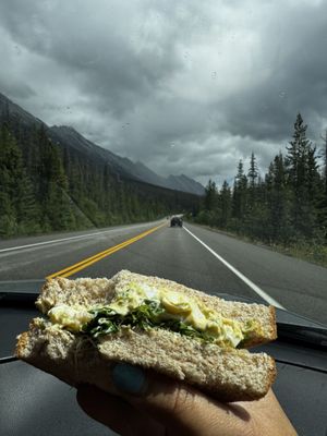 Sunwapta Falls Rocky Mountain Lodge by null