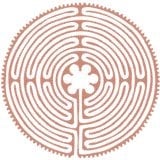 Holistic Health Practice