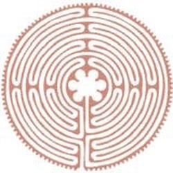 Holistic Health Practice
